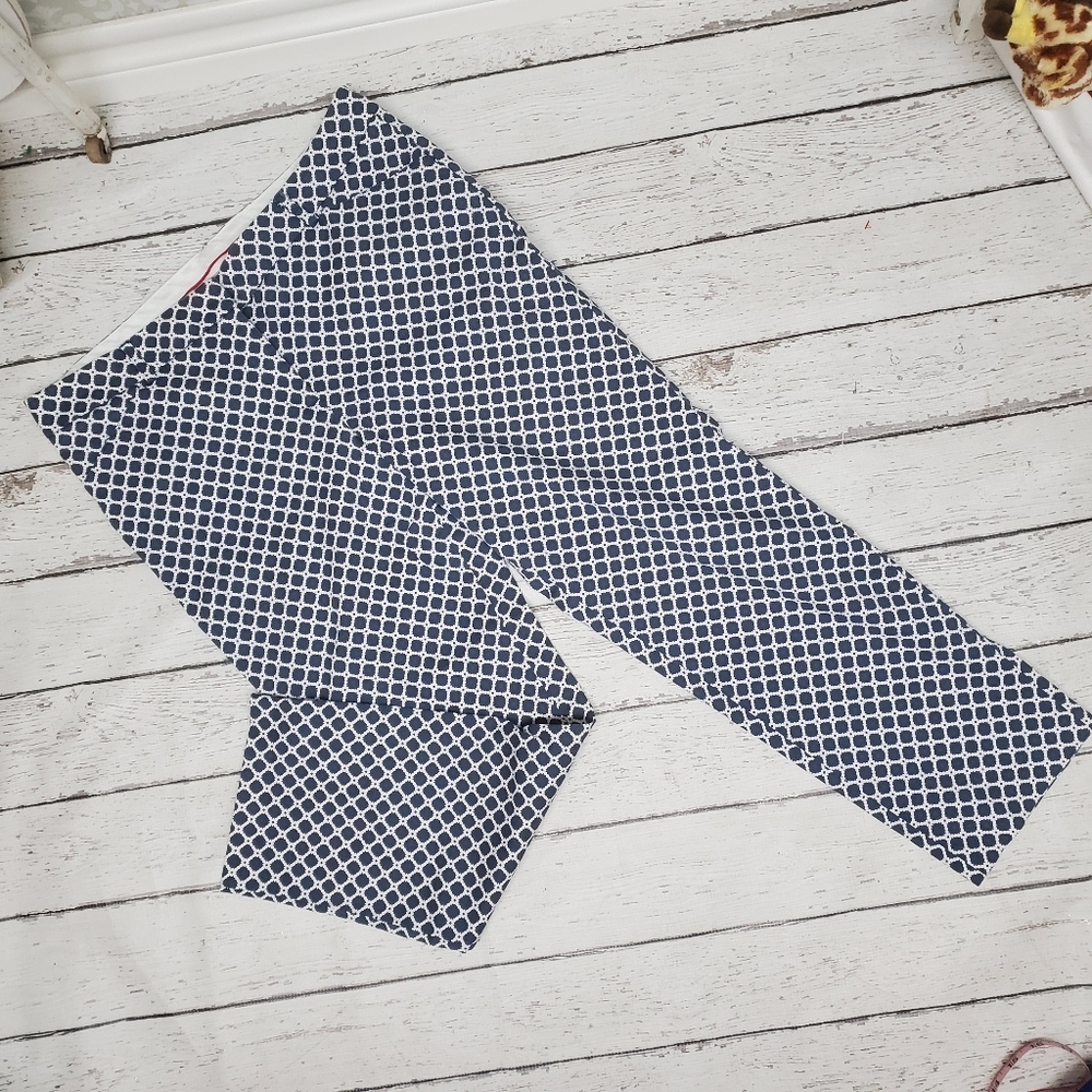 Valerie Stevens Blue Ankle Pants